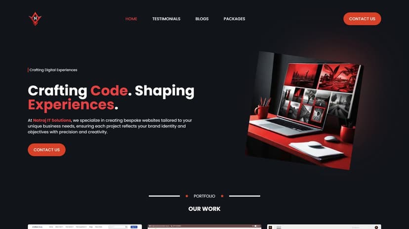 Natraj IT Solutions Website image 1